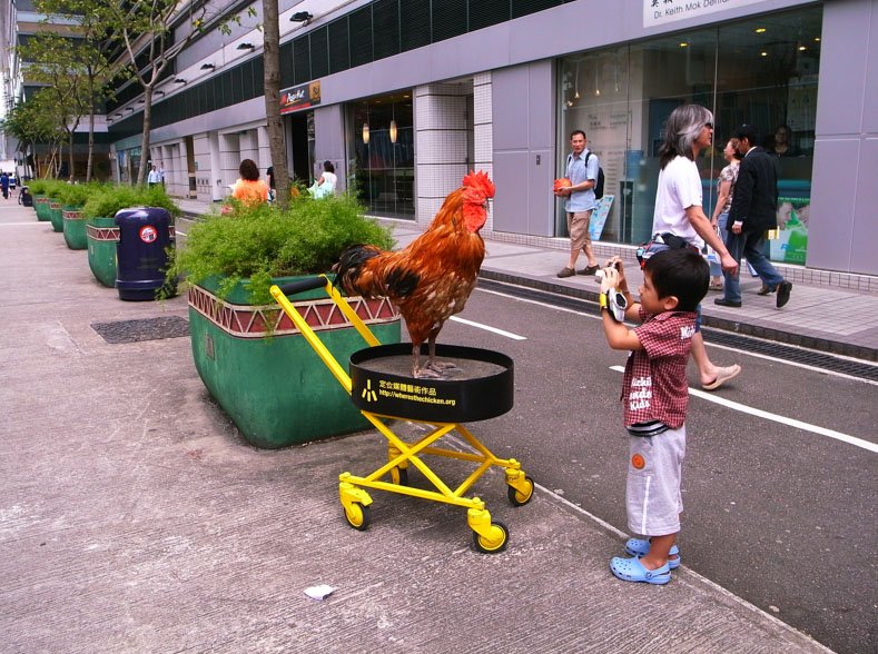 Chicken road demo, chicken road nederland